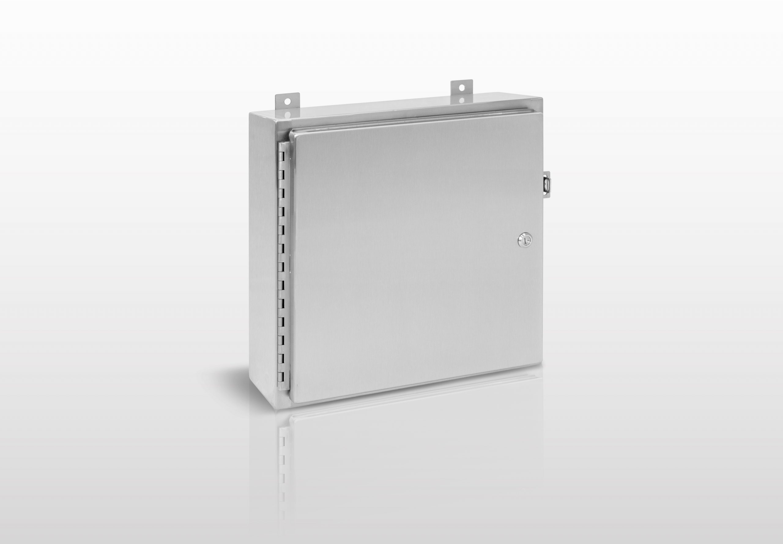 NEMA Clamp Style, 4X (304 STAINLESS STEEL) SINGLE DOOR ENCLOSURE WITH QUARTER TURN LATCHES - SERIES N4SQ